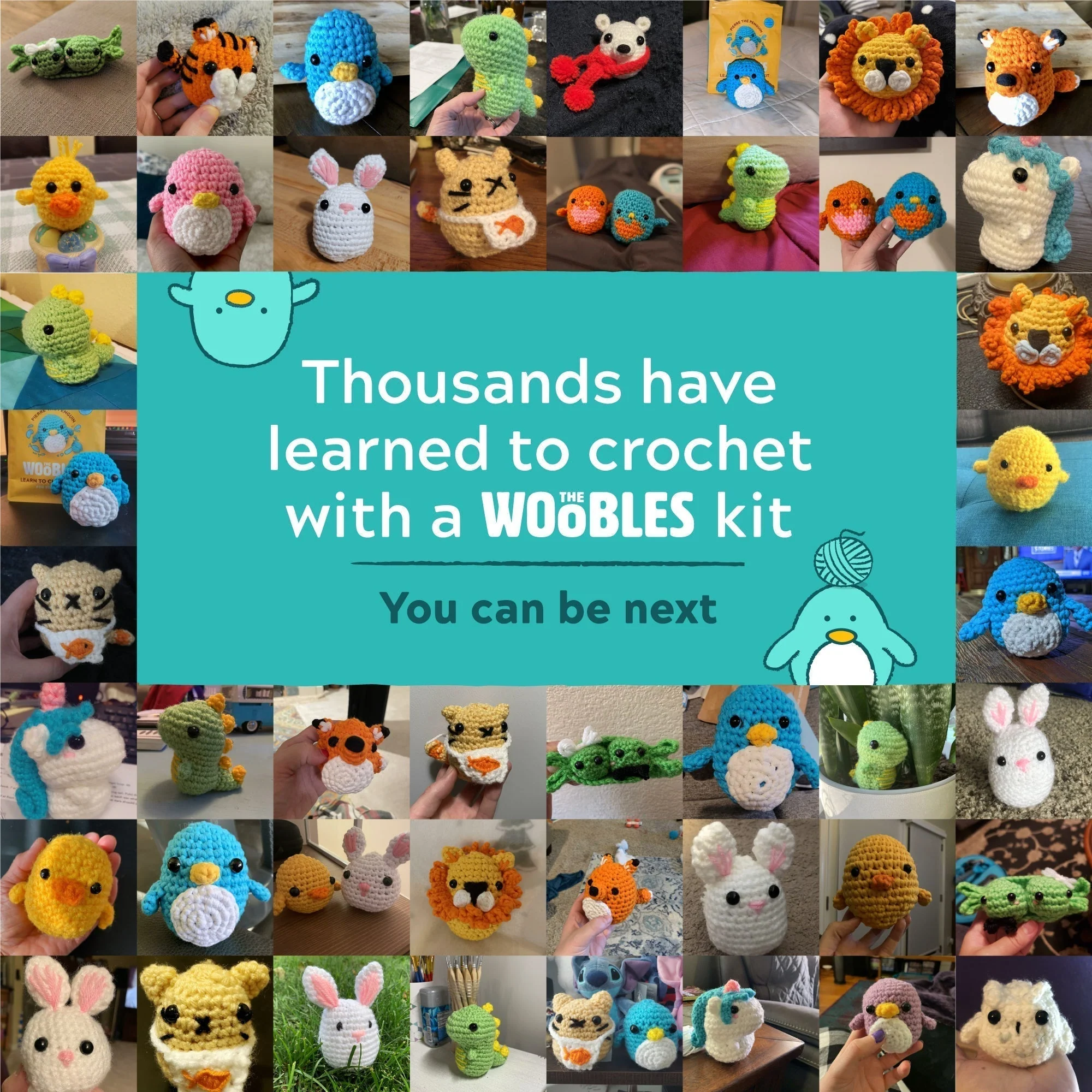 Passport Pals Bundle - Image 11